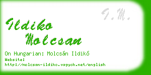 ildiko molcsan business card